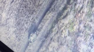 🚑💥 Ukraine Russia War | Ukrainian Soldier Evacuated by Ground Drone | RCF