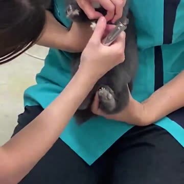 Poor little guy is petrified 😔