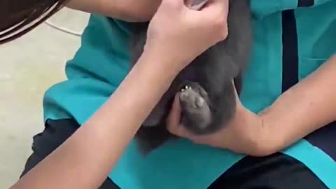 Poor little guy is petrified 😔