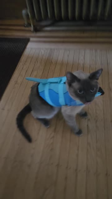 Seydlitz Not Feeling His New Life Jacket