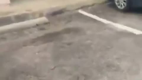 Man is shot during live Facebook stream