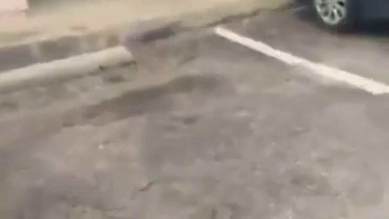Man is shot during live Facebook stream