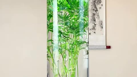 🤯💡 This Simple Trick Will Make Your Idea Look So Cute! | LifeHacksDaily