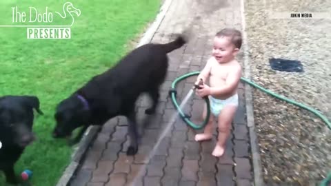 Babies Laughing At Pets _ The Dodo