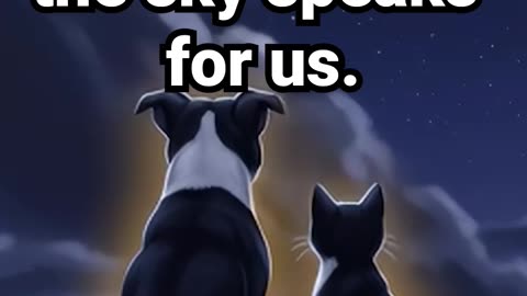 No words needed — the sky speaks for us #lofibeats #studymusic #relaxingmusic