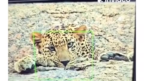 📱🔬 Phone Camera vs Professional Camera - The Real Difference! | FeedMyCuriosity