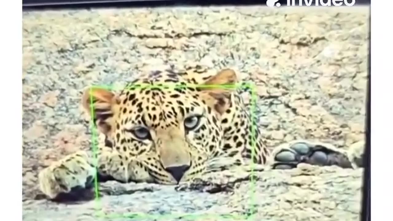 📱🔬 Phone Camera vs Professional Camera - The Real Difference! | FeedMyCuriosity