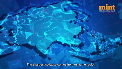 US Student Visas Hit 4-Year Low as Indian Arrivals Crash Nearly 50%: The Trump-Era Impact Begins