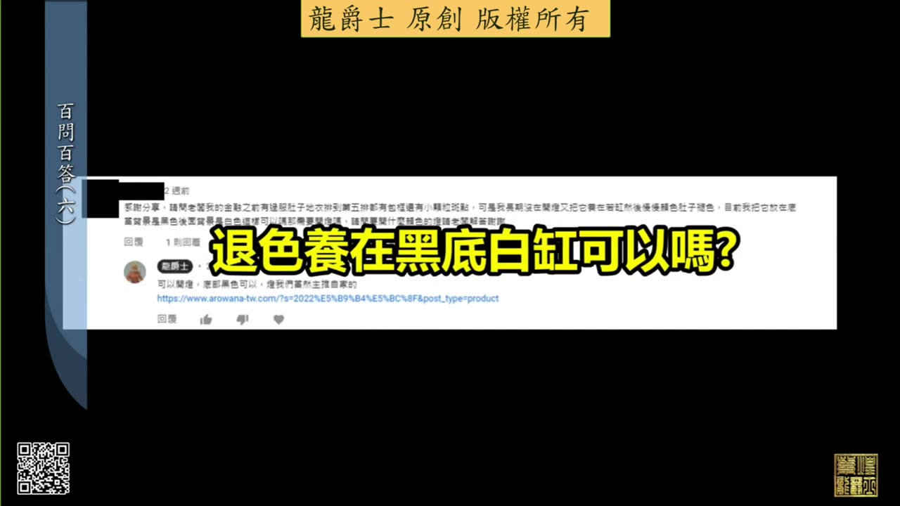 【龍爵士】千問千答 Q44 退色養在黑底白缸可以嗎