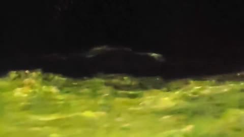 🛸🌌 Saw from My Alaskan Cruise Ship? Birds? I Really Don't Know | TheTruthAbove