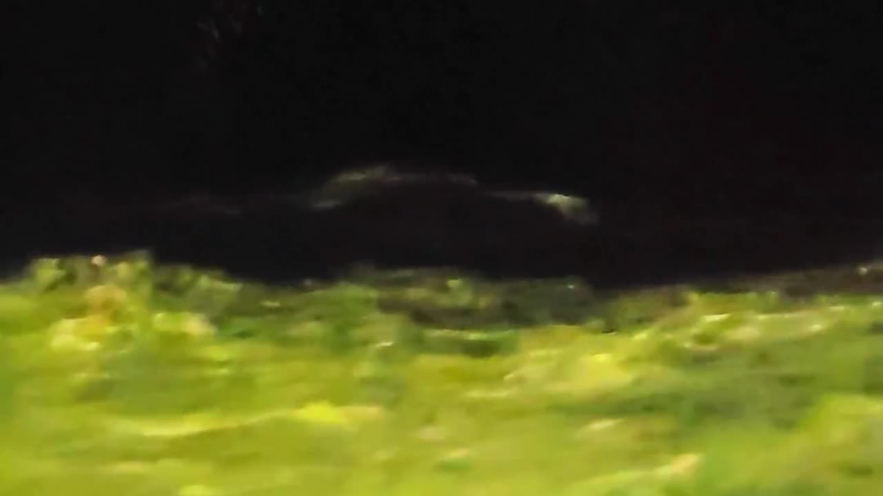 🛸🌌 Saw from My Alaskan Cruise Ship? Birds? I Really Don't Know | TheTruthAbove