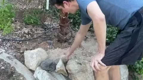 He made her dream backyard