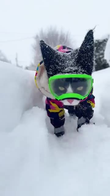 No matter the amount of snow