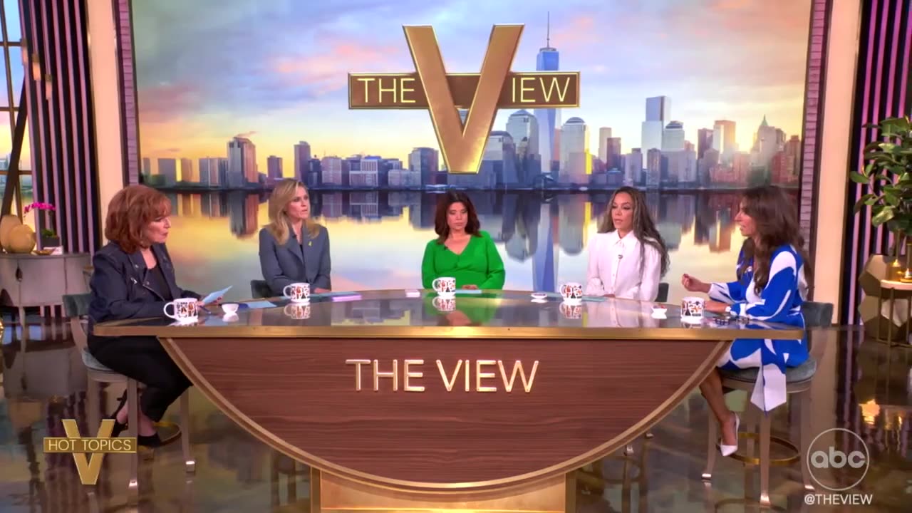 The View devolves into a shouting match as hosts bash Democratic inaction