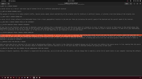 219_what is a server mirror?