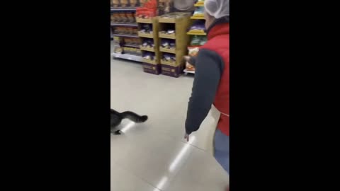 Hey, what are you doing?