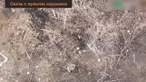 Russia 🇷🇺 Ukraine 🇺🇦 War