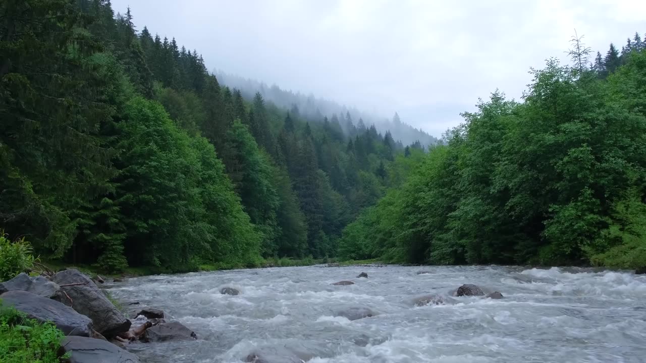 Misty Rapids - JD Savanyu