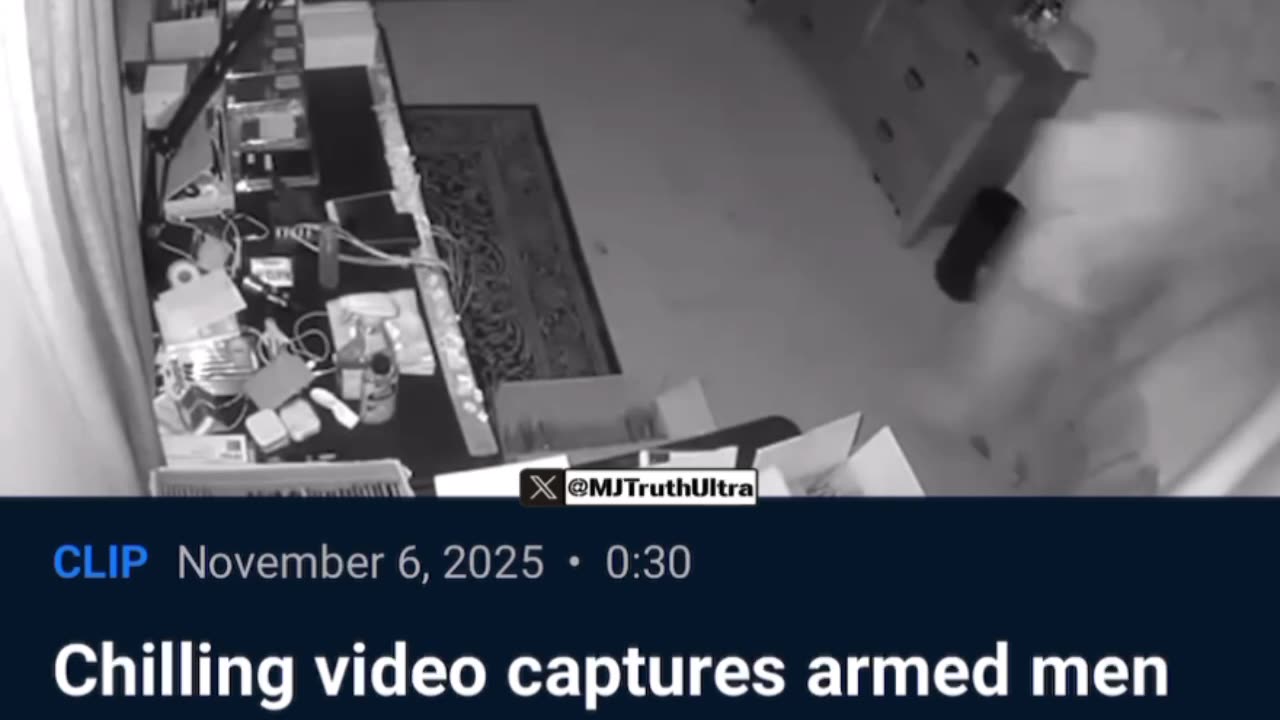 ICE Captures Members of South American Illegal Alien Theft Ring