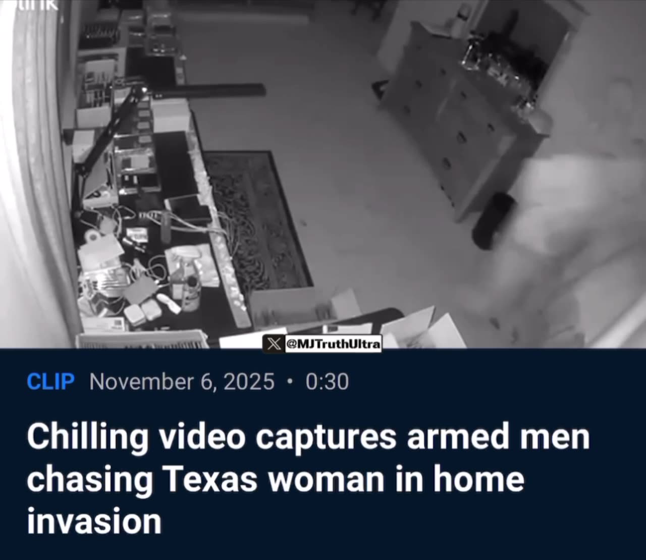 ICE Captures Members of South American Illegal Alien Theft Ring