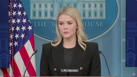 Karoline Leavitt BLASTS Democrat calls to 'Fight in the Streets’