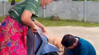 Shocking: FUNNIEST CAT VIDEOS 2025 COMPILATION Funny Cats 60#funny #pet #cat #fo