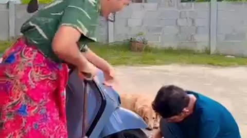 Shocking: FUNNIEST CAT VIDEOS 2025 COMPILATION Funny Cats 60#funny #pet #cat #fo