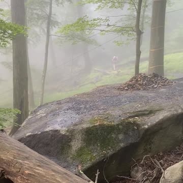 DO YOU THINK SHE'S COMING BACK?