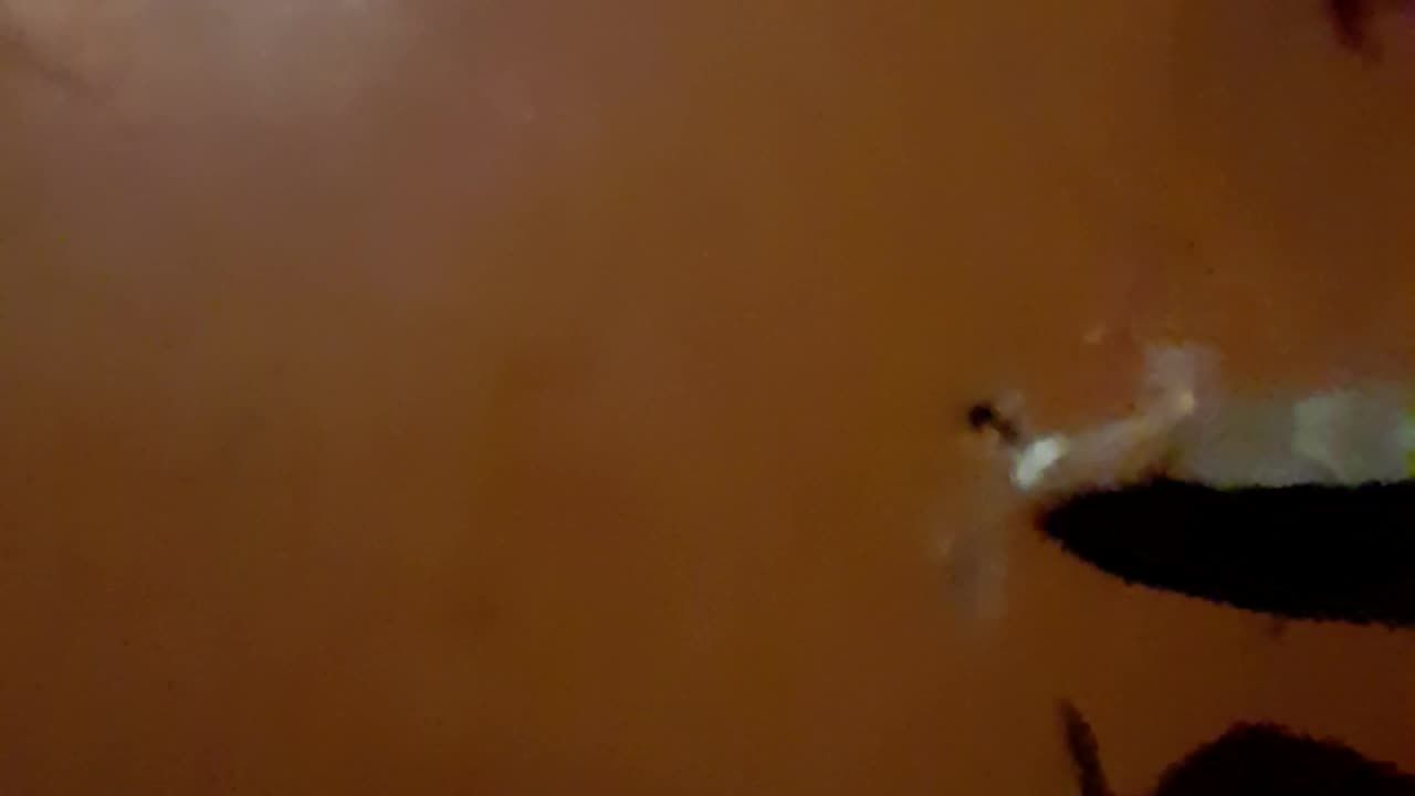 What really is going on...