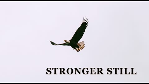 Pray USA, 11/6/2025 Stronger Still