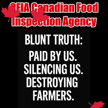 🦤 Save The Ostriches 🌎 The world is watching.