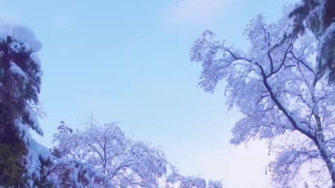 Pretty girl sets up a camping tent alone in the snow and rain
