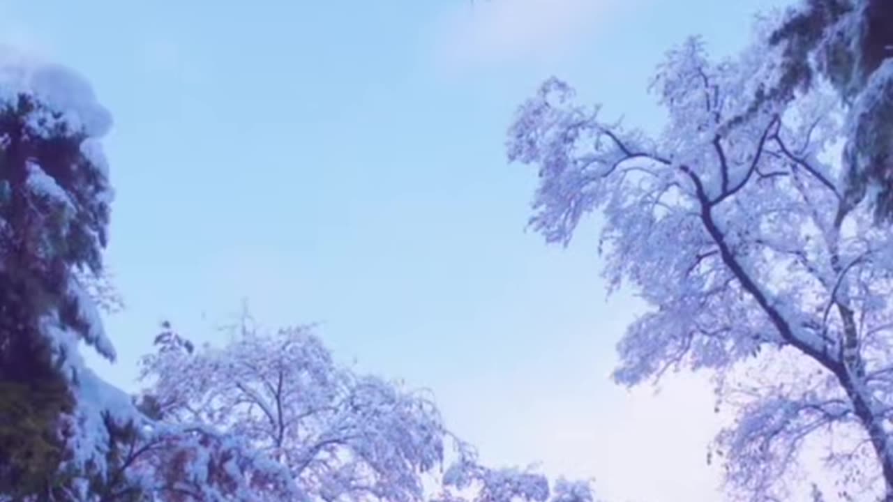 Pretty girl sets up a camping tent alone in the snow and rain