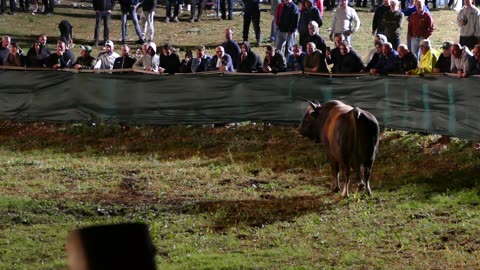 Uskok vl.Mijo i Beader vs Lugo vl. Lončar Šestanovac 2025