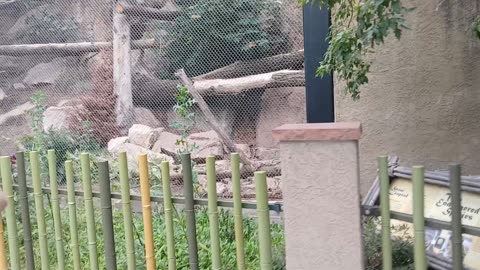 Cheyenne Mountain Zoo Part 33