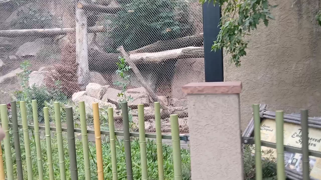 Cheyenne Mountain Zoo Part 33