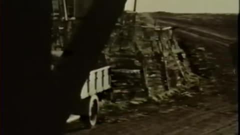 A Woman for 7 Bastards (1974) Full movie | Drama