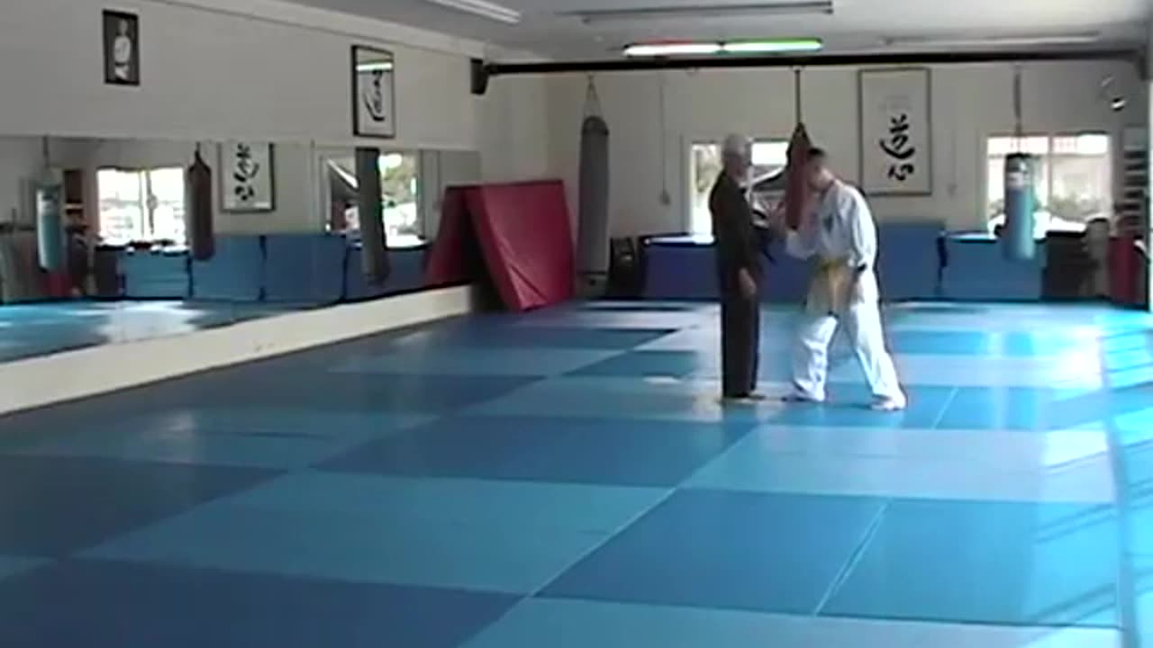 Hapkido