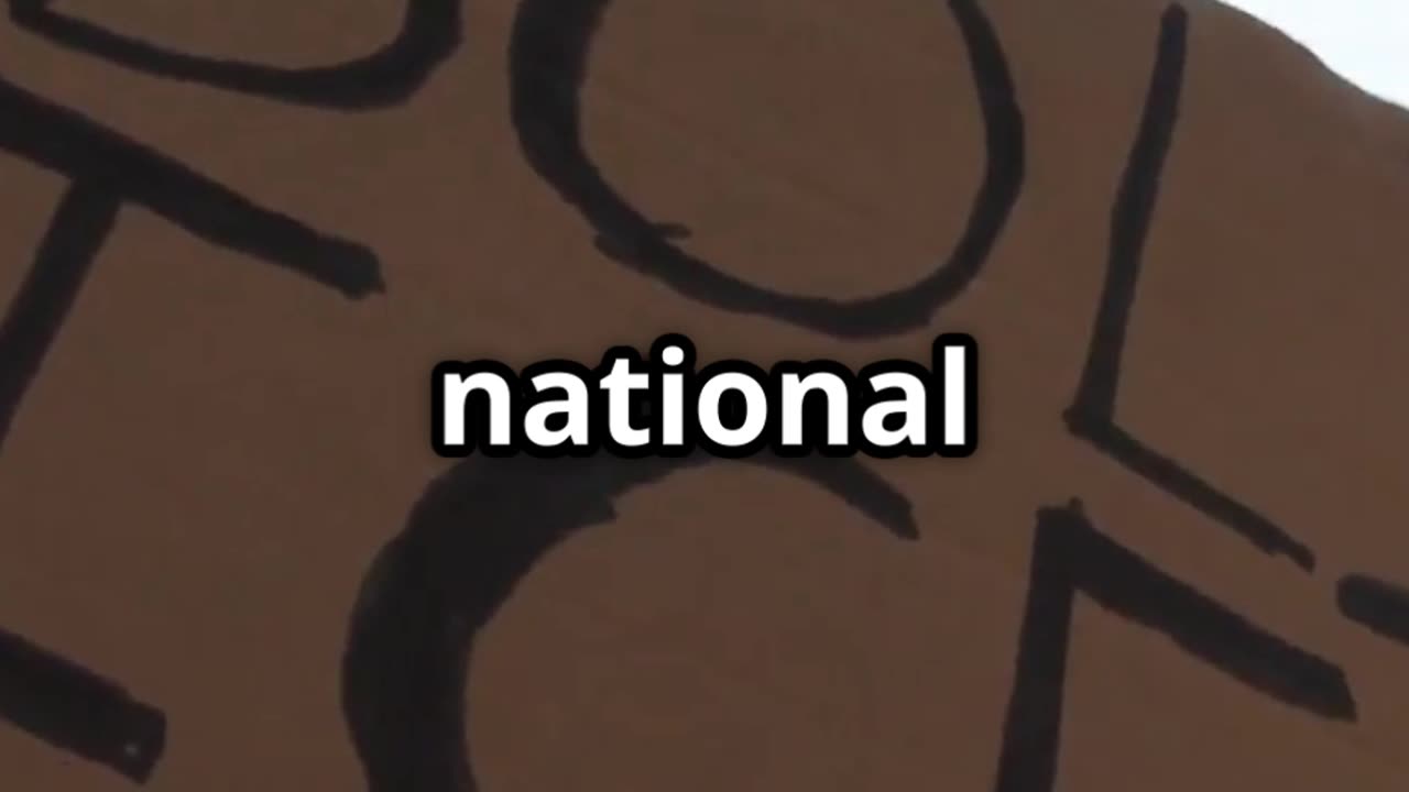 Minnesota Candidate Quits Over Pretti Shooting Fallout