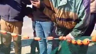 😂🎣 You Won't Believe This Clever Distraction! | FunFM