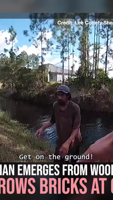 Florida Man Emerges from Woods, Throws Bricks at Car