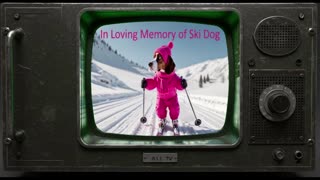 SKI DOG