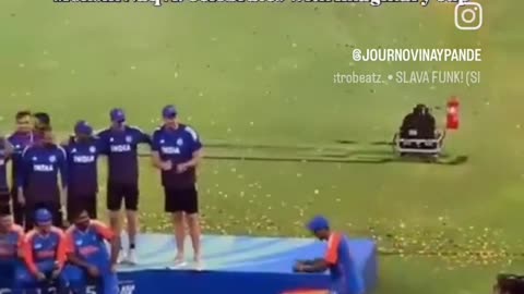 😮✨ This Celebration Will Blow Your Mind! | FeedMyCuriosity