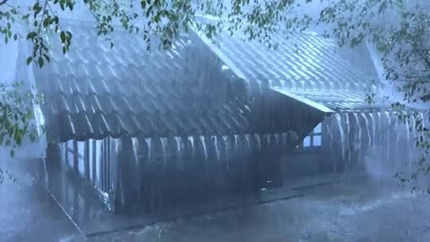 Immerse Yourself and Sleep Soundly with Extremely Heavy Rain & Thunder on Silver Tin Roof in Forest