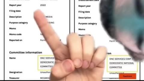 Ian Carroll ~ Huge Content Creators are Shilling