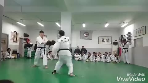 Hapkido