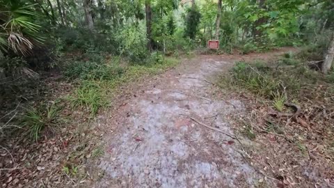 Hiking To Big Shoals on the Suwannee River