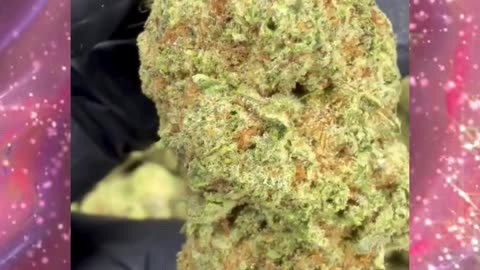 Cinderella 99 THCa Flower | 26% Sativa | Citrus, Apricot, Floral | Focused, Euphoric | Bulk #thca