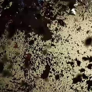 Wot in the Wendingo?!?!