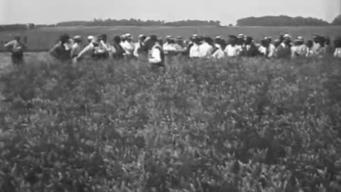 [FORD EXHIBITS, MICHIGAN STATE FAIR] - [FORD EXHIBITS, MICHIGAN STATE FAIR] - fc-fc-262